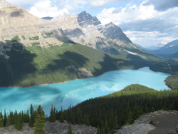 A random beautiful photo of Peyto Lake - one of our stops on Day 2