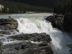 Athabasca Falls a stop in the first day best waterfall up close ever